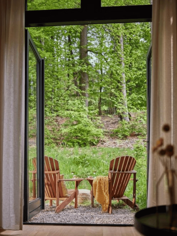 hotel met hond, hotel met hond natuur, hotel met hond nederland, overnachting met je hond, hotel beekhuizen, arnhem, bos