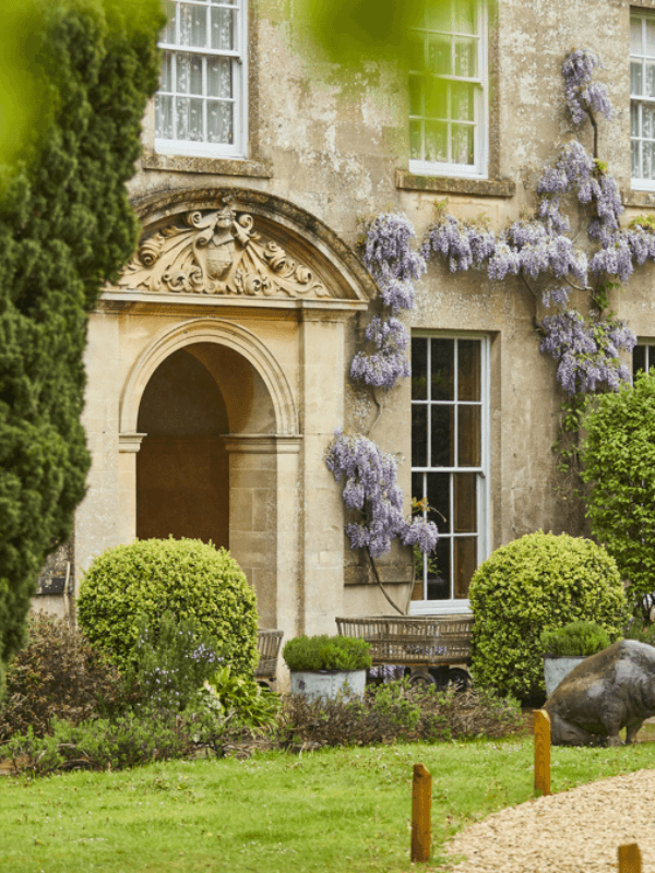 hotel the pig near bath, blauwe regen