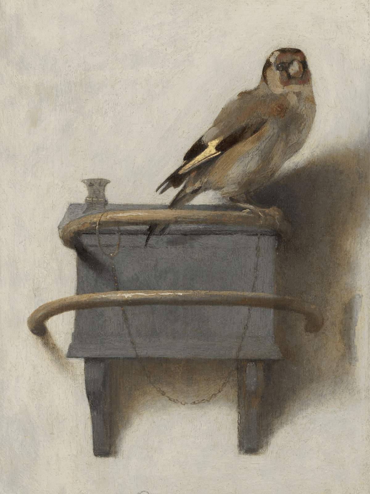 mauritshuis birds tentoonstelling den haag - puttertje