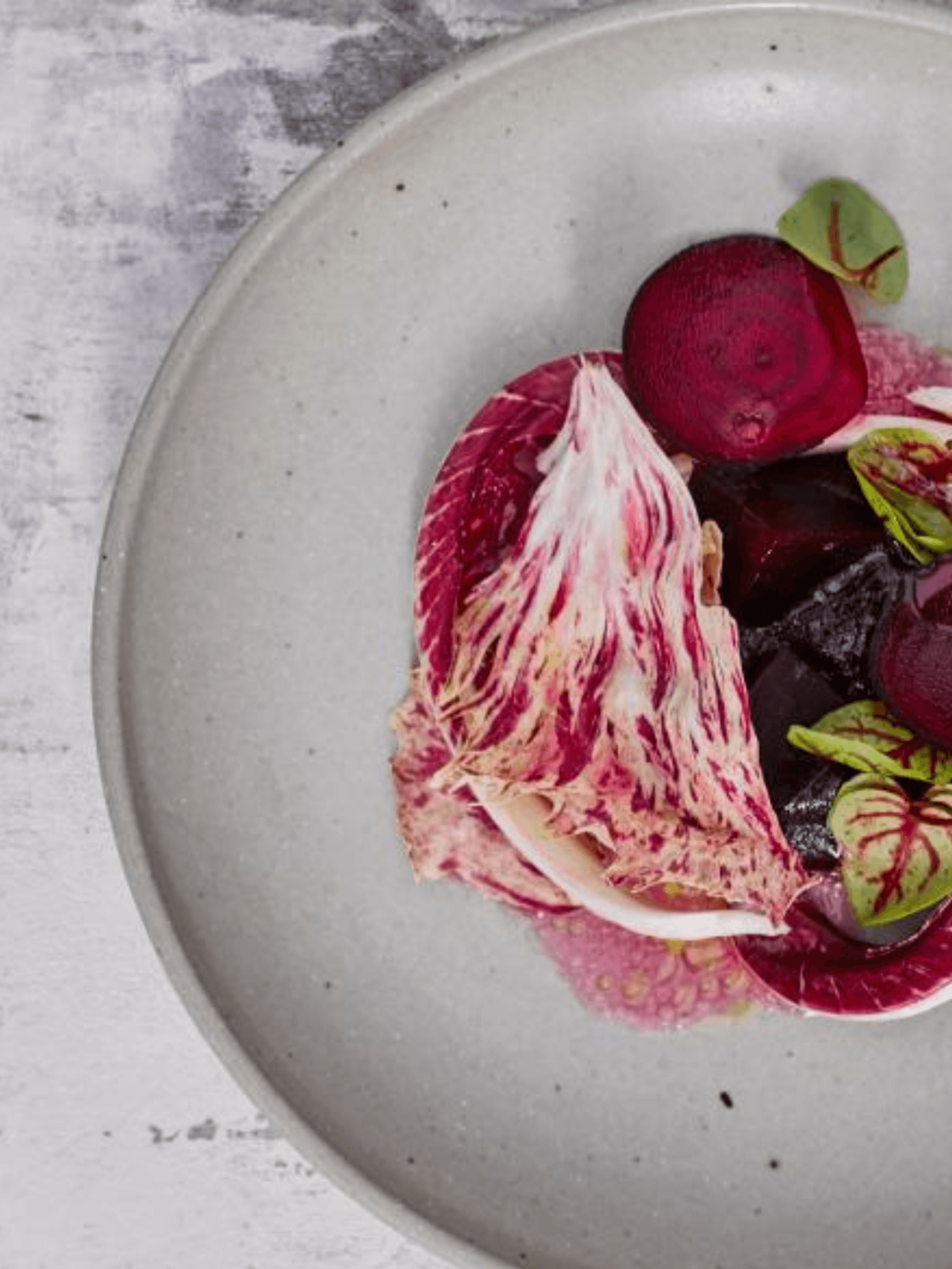 restaurant de kas nieuw kookboek - recepten - amsterdam